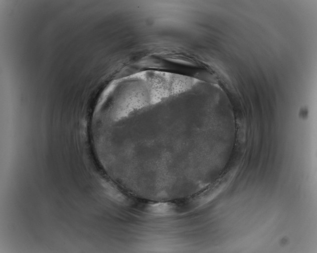X0000100970269200807221217