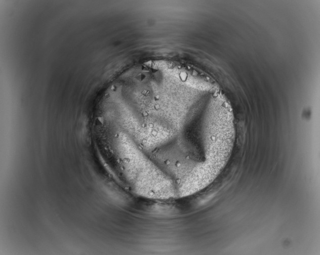 X0000100970270200807221217
