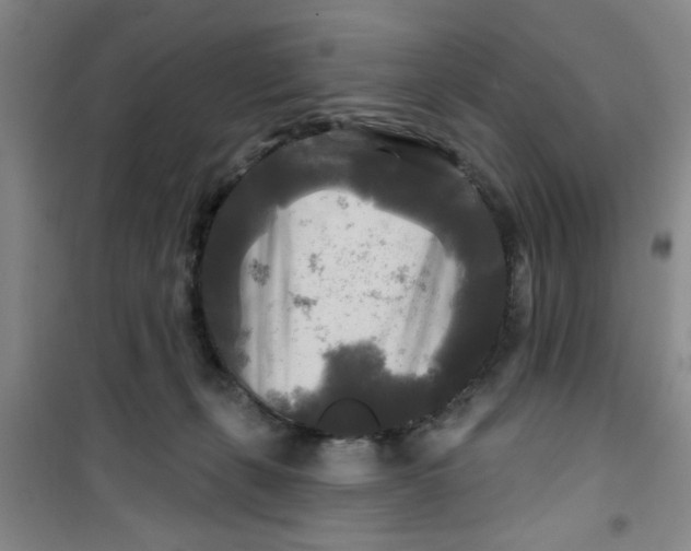 X0000100970271200807221217