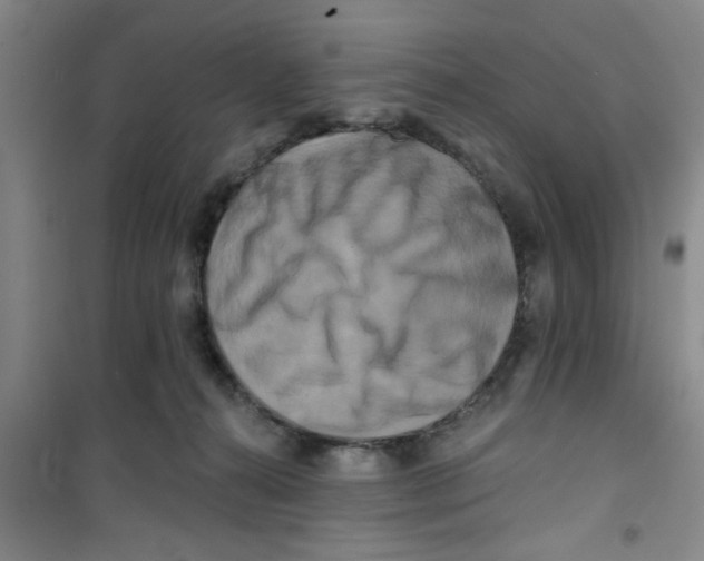X0000100970272200807221217
