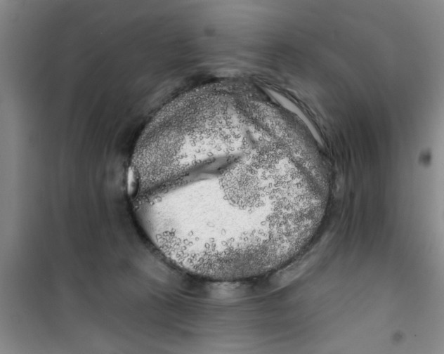 X0000100970273200807221217