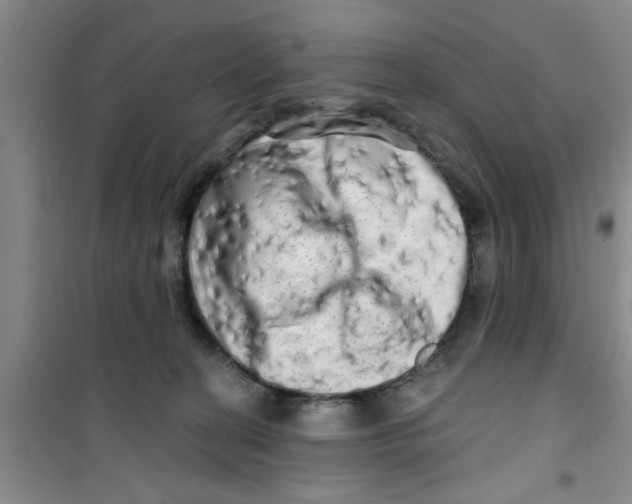 X0000100970274200807221217