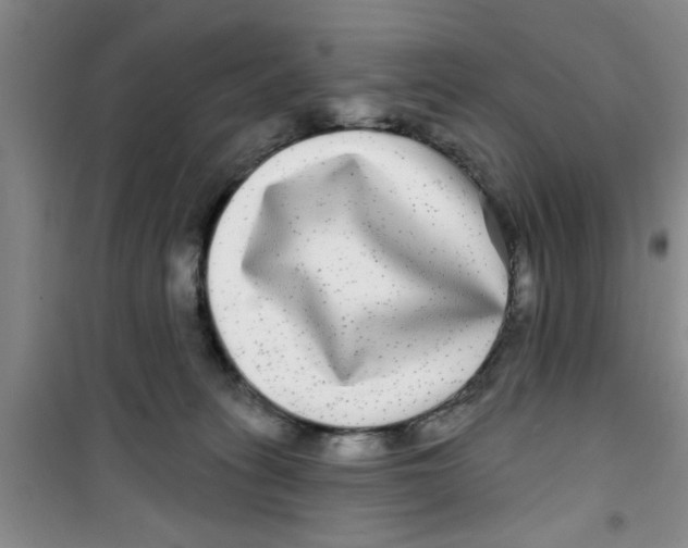 X0000100970275200807221217