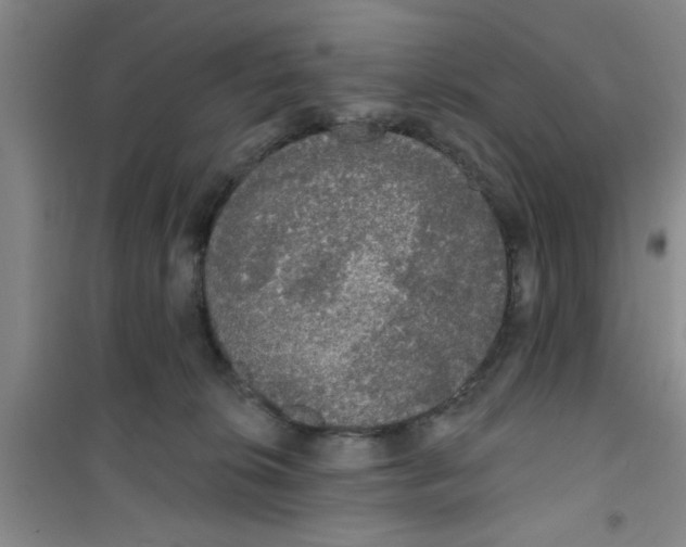 X0000100970276200807221217