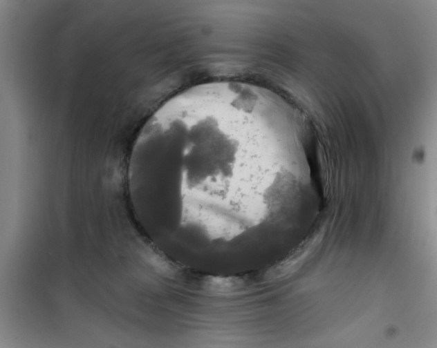 X0000100970277200807221217