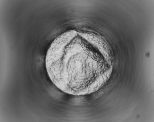 X0000100970278200807221217