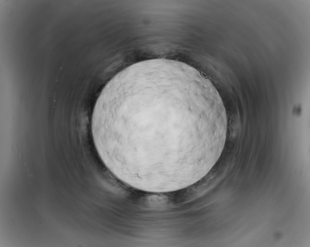 X0000100970279200807221217