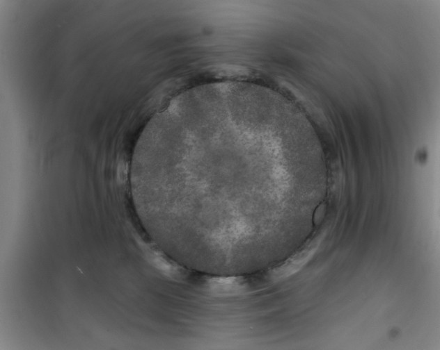 X0000100970281200807221217