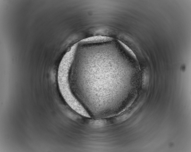 X0000100970282200807221217
