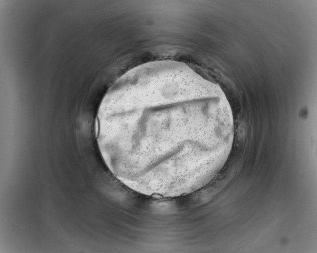 X0000100970283200807221217