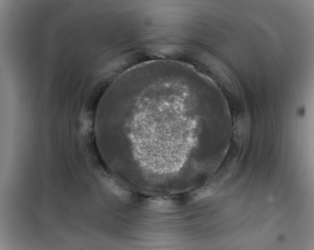 X0000100970284200807221217