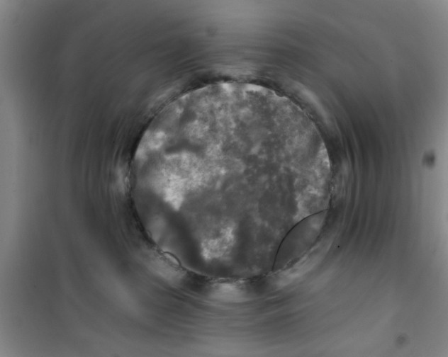 X0000100970285200807221217