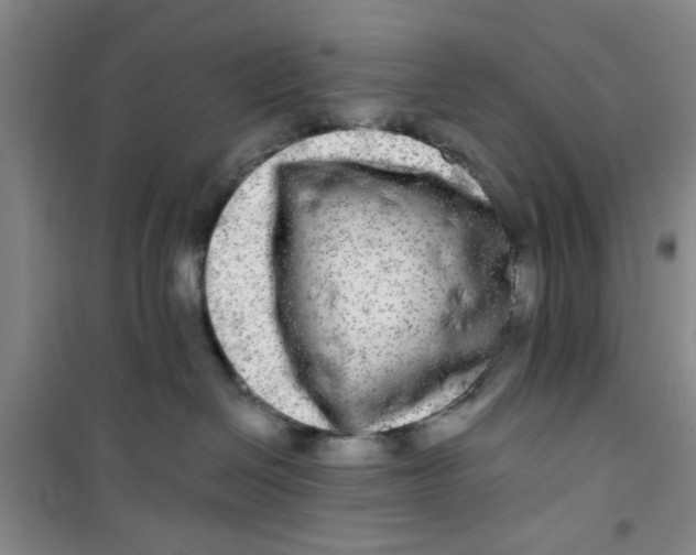 X0000100970286200807221217