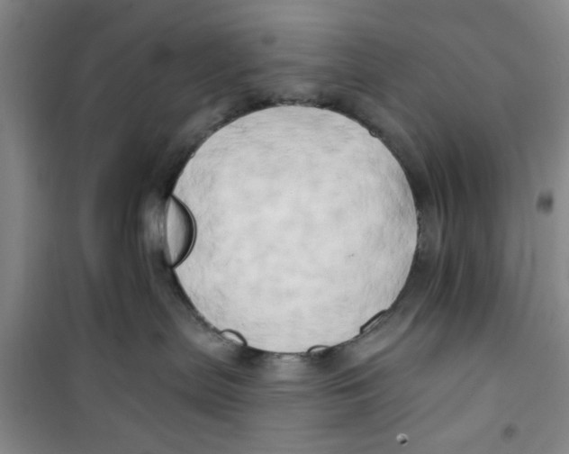 X0000100970287200807221217