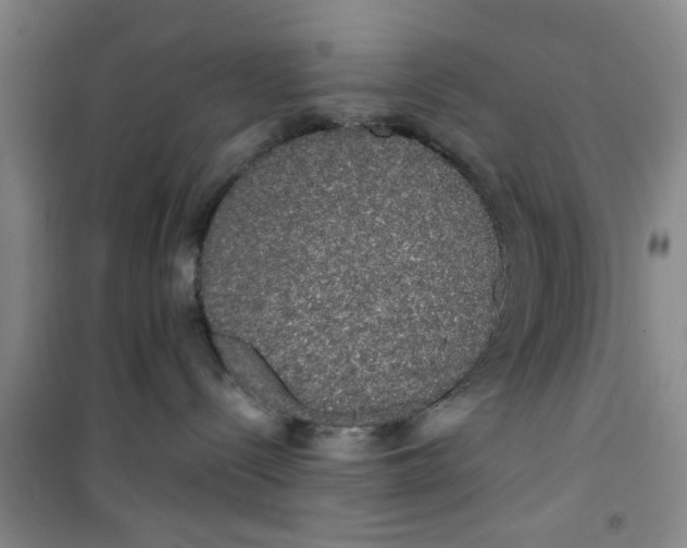 X0000100970288200807221217