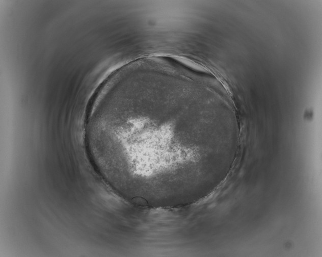 X0000100970290200807221216