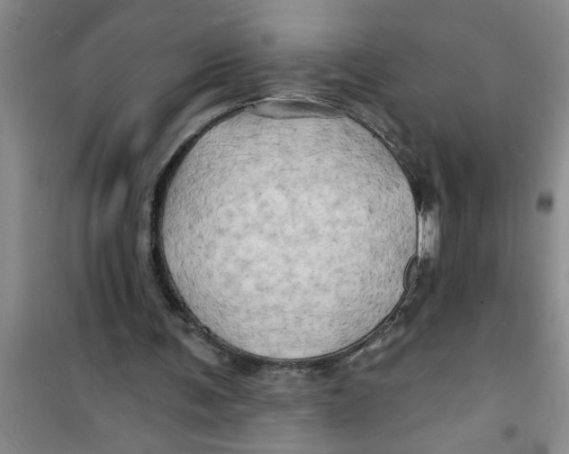 X0000100970291200807221216