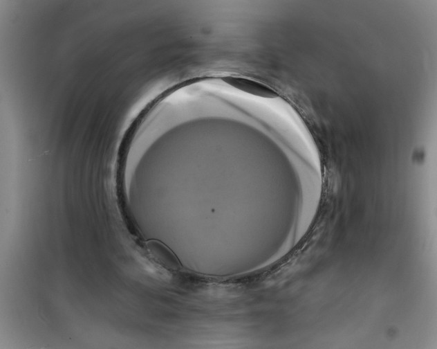 X0000100970292200807221216