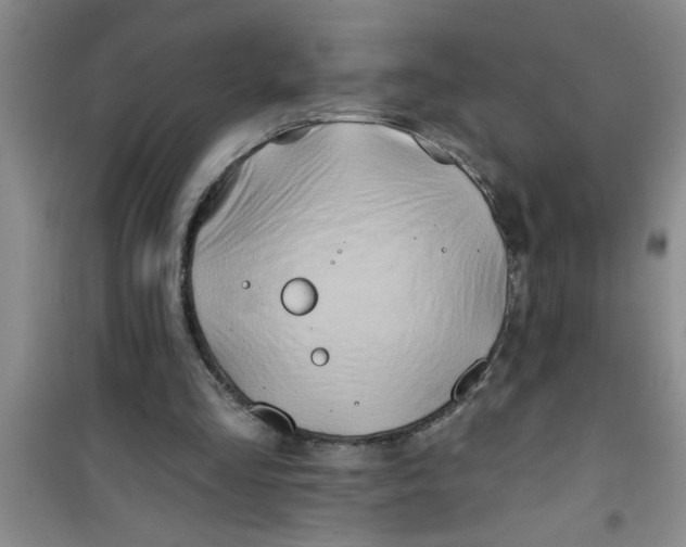 X0000100970293200807221216