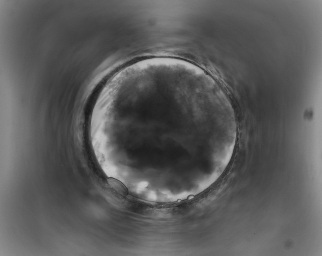 X0000100970295200807221216