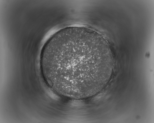 X0000100970296200807221216