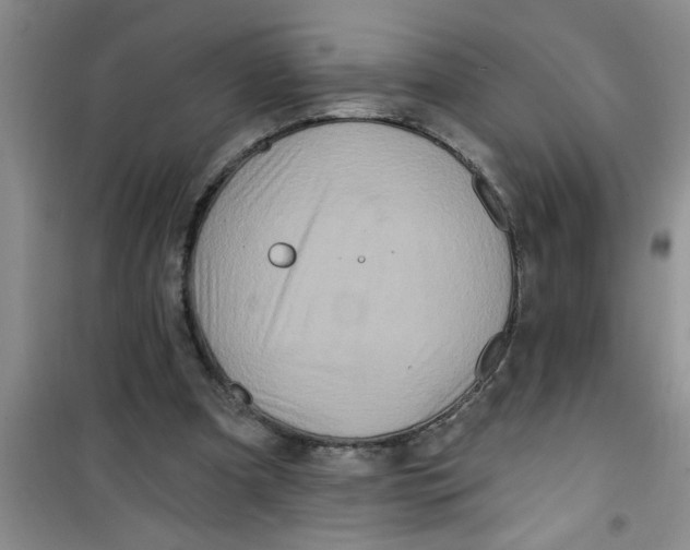 X0000100970297200807221216