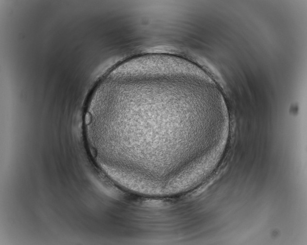 X0000100970298200807221216