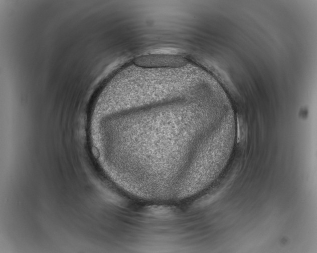 X0000100970300200807221216
