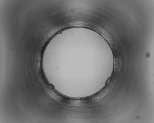 X0000100970301200807221216