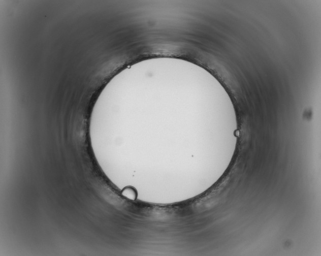 X0000100970305200807221216