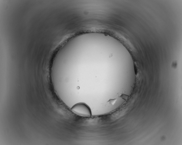 X0000100970306200807221216