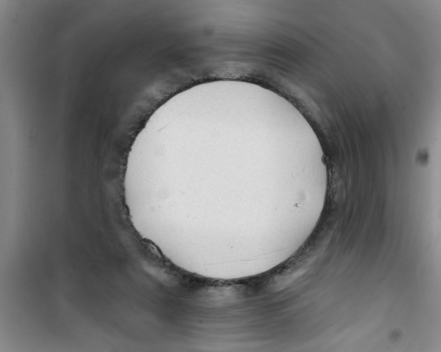 X0000100970307200807221216
