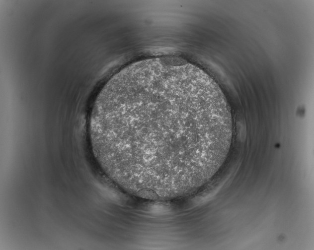 X0000100970308200807221216
