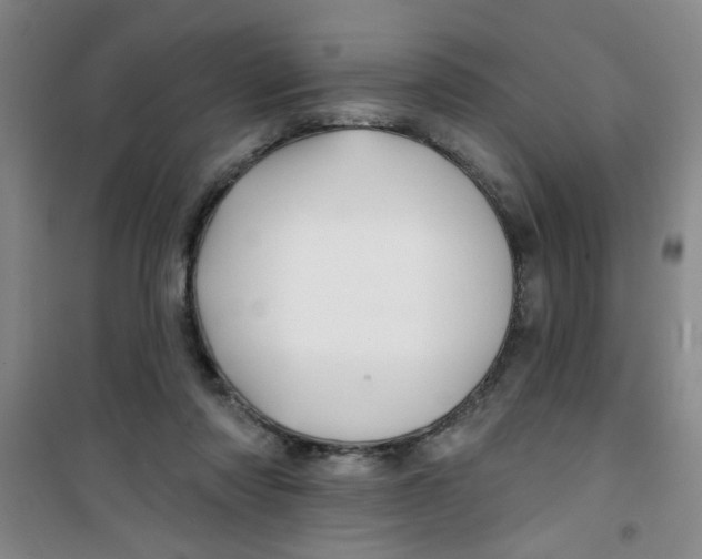 X0000100970310200807221216