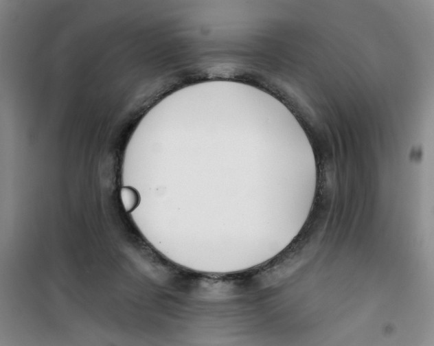 X0000100970311200807221216