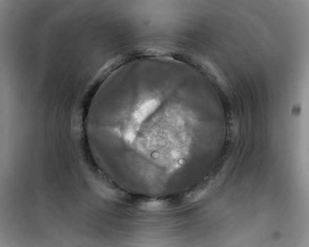 X0000100970312200807221216