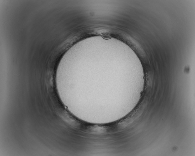 X0000100970313200807221216
