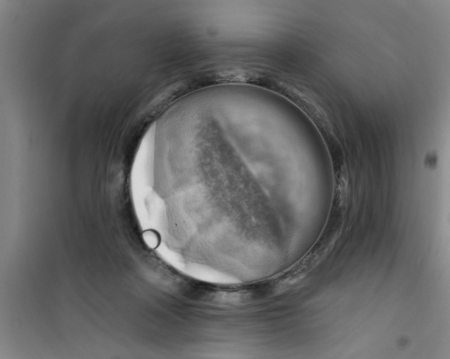 X0000100970314200807221216