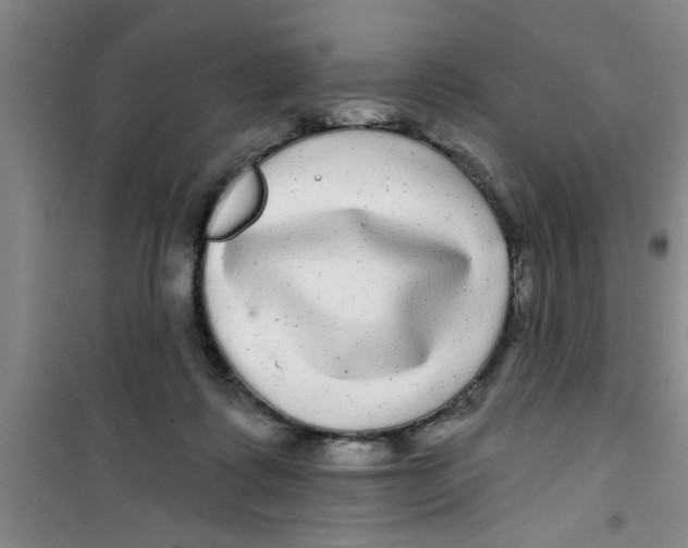 X0000100970315200807221216