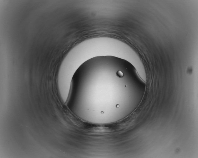 X0000100970316200807221216