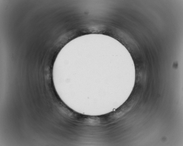 X0000100970317200807221216