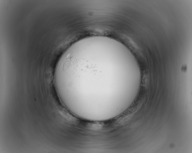 X0000100970318200807221216