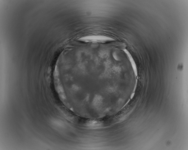 X0000100970319200807221216
