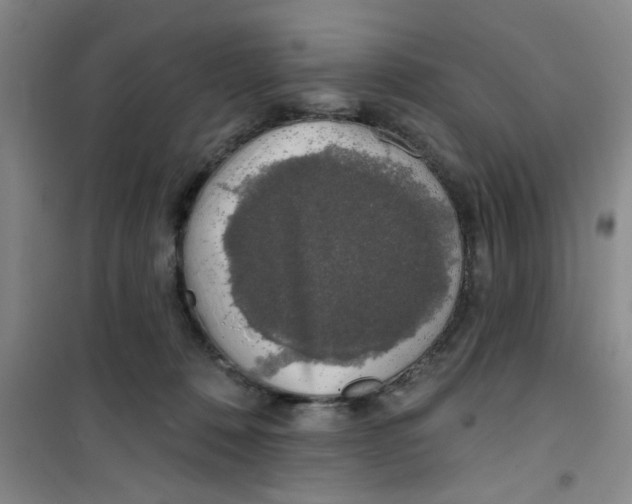 X0000100970320200807221216