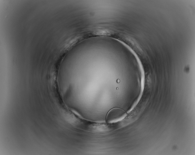 X0000100970322200807221216