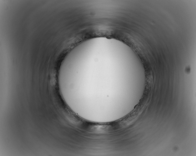 X0000100970323200807221216