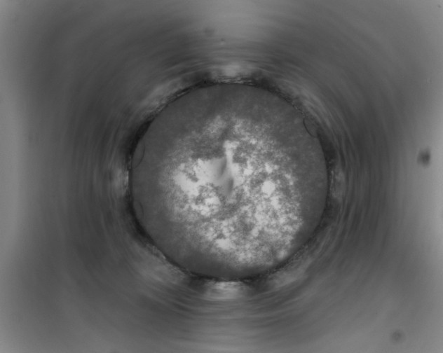 X0000100970324200807221216