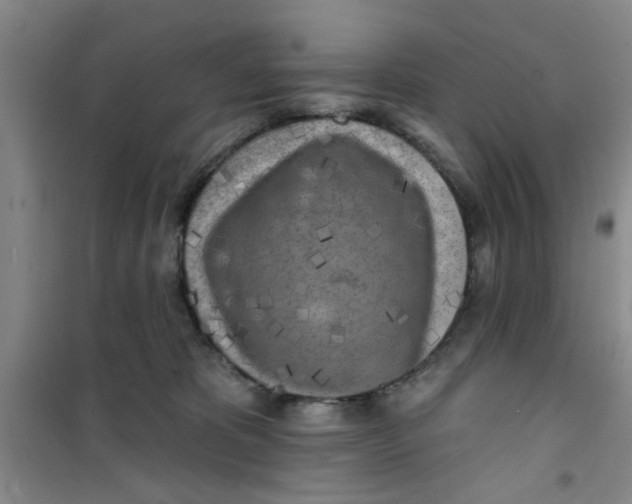 X0000100970325200807221216
