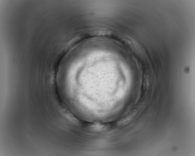 X0000100970326200807221216