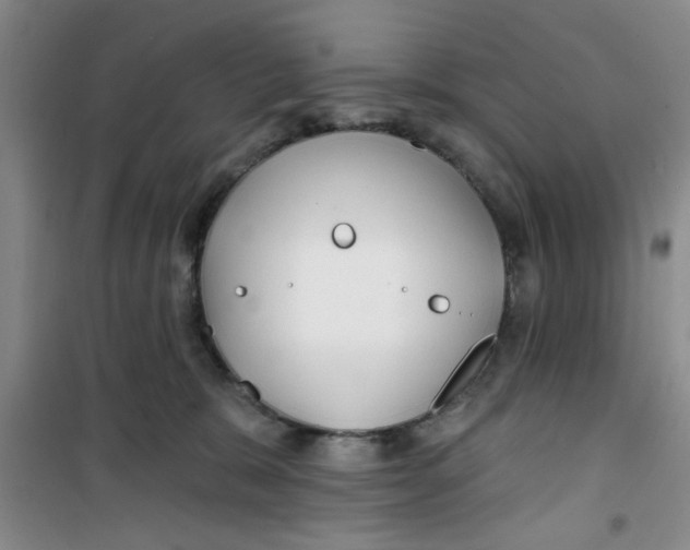 X0000100970327200807221216